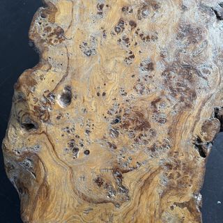 Burr Elm Coffee Table