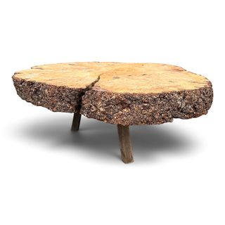 Huge Root Coffee Table